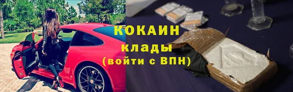 шишки Ельня