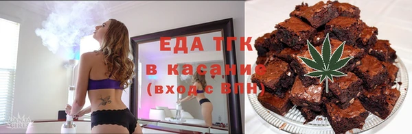 шишки Ельня