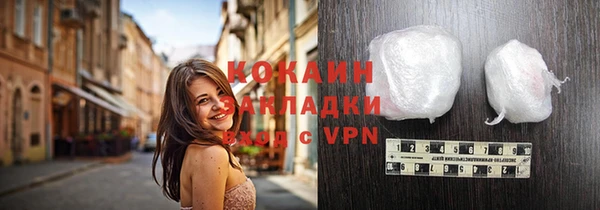 шишки Ельня