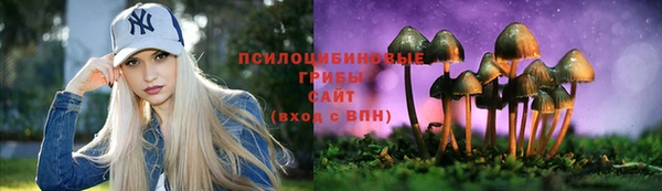 спайс Елизово