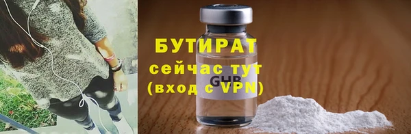 шишки Ельня