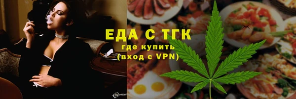 шишки Ельня