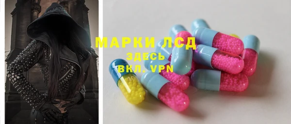 шишки Ельня