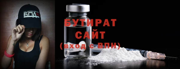 шишки Ельня