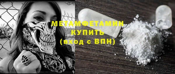 шишки Ельня