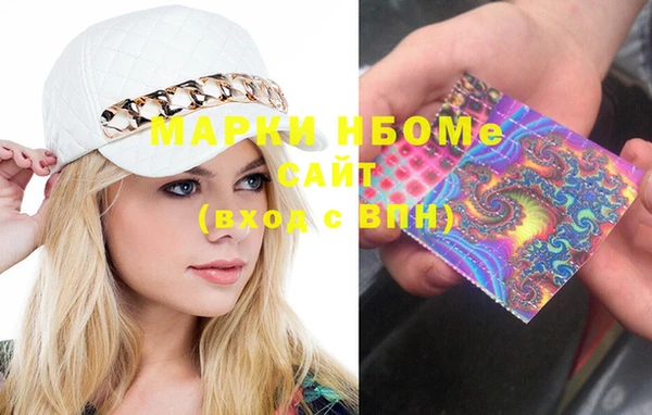 шишки Ельня