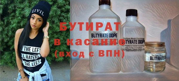 шишки Ельня