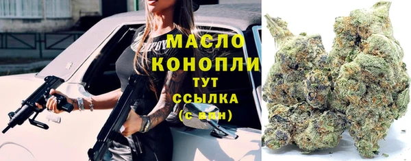 шишки Ельня