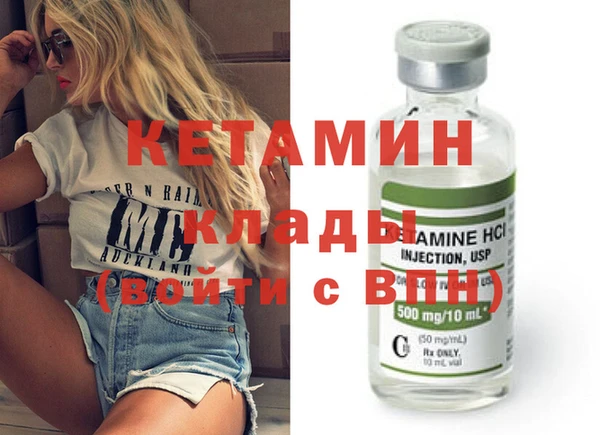шишки Ельня