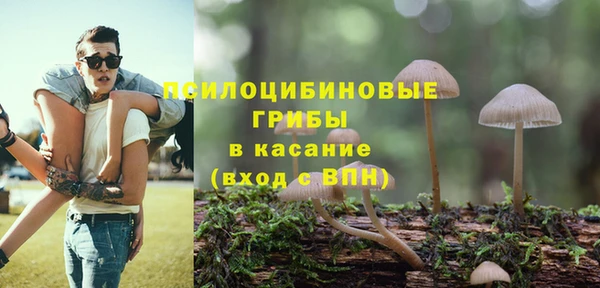 спайс Елизово