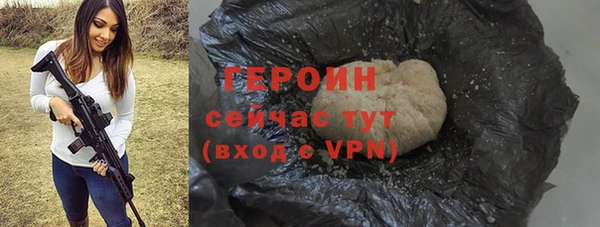 шишки Ельня