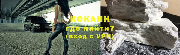 шишки Ельня