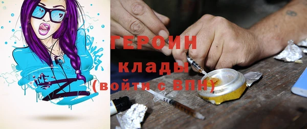 шишки Ельня
