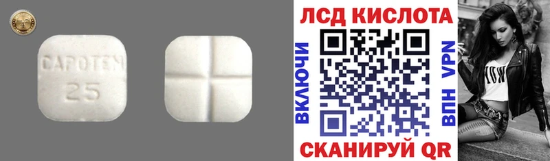 Купить закладки  Змеиногорск  LSD-25 экстази ecstasy 