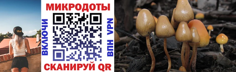 Купить закладки  Змеиногорск  Псилоцибиновые грибы Magic Shrooms 